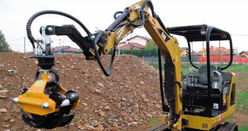 Rönkcsipesz- Ghedini - Kép 2