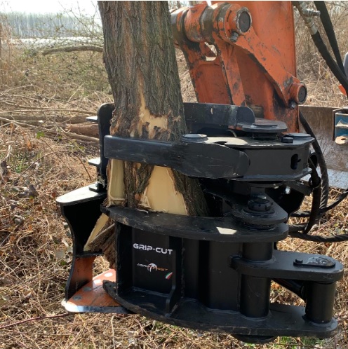 Agriforest